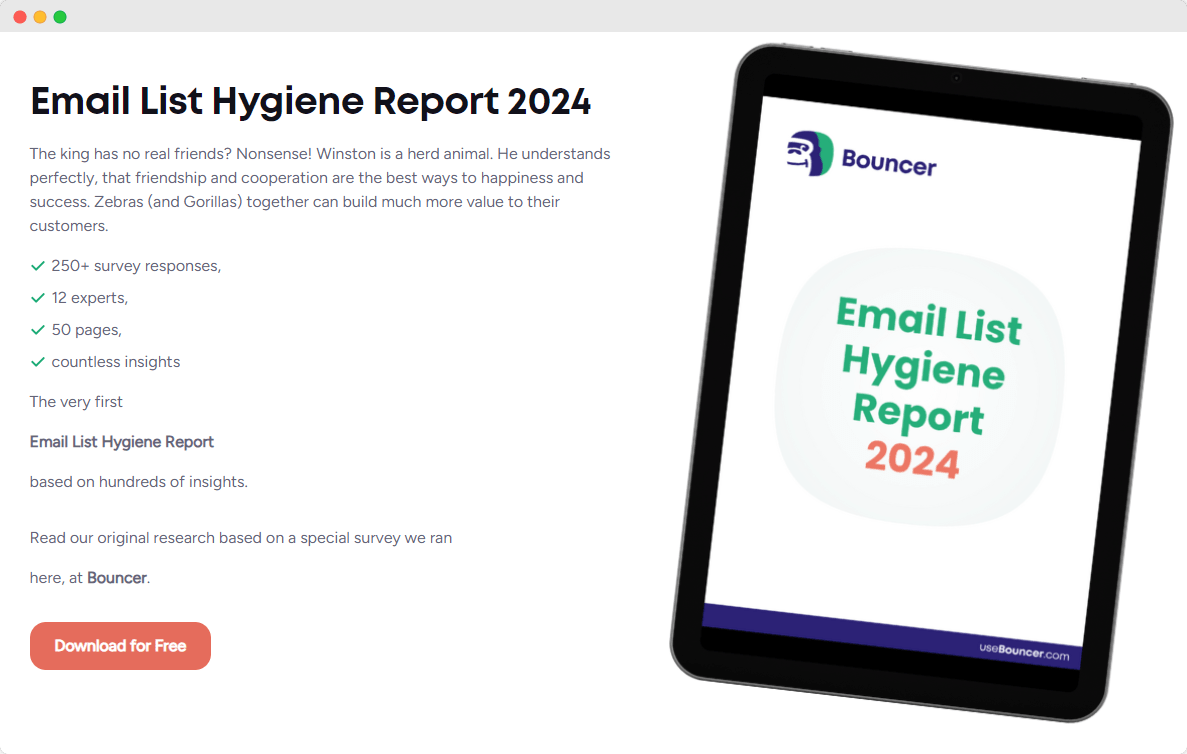 Email List Hygiene Report 2024